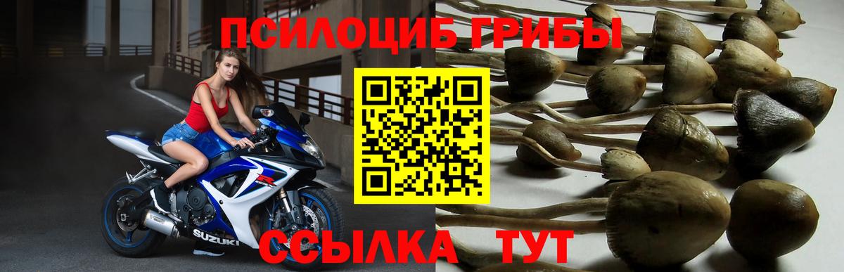 Галлюциногенные грибы GOLDEN TEACHER Геленджик